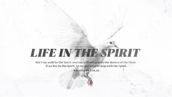 Life in the Spirit Image